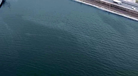 İzmir Körfezi’nde kirlilik alarmı: Aynı tehdit 11. kez görüldü