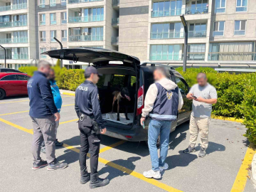 Avcılar’da köpeğe kötü muamelede bulunan şahıs yakalandı
