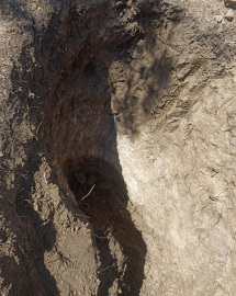 Tekirdağ’da mezarlıkta define aradılar