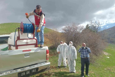 Gümüşhane’de çekirge istilasına uğrayan köyde ilaçlama çalışması başlatıldı
