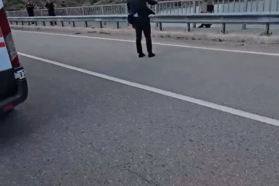 Viyadükten atlamak isteyen şahsı kaymakam ikna etti
