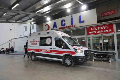 Kız alıp verme husumeti kanlı bitti: Baba ve oğlu öldürüldü
