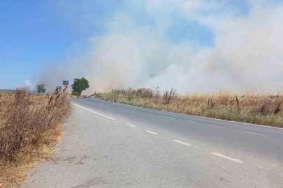 Silivri’de korkutan tarla yangını: Polis vatandaşları uyardı
