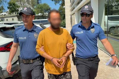 Kediye tekme atan şahıs tutuklandı: "Sinirliydim, pişmanım"
