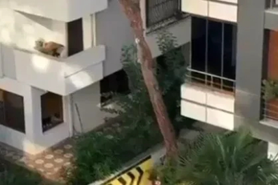 Maltepe’de vatandaşlar kadına şiddete kayıtsız kalmadı: Balkondaki adama taş yağdırdı
