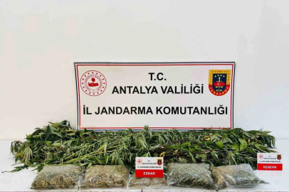 Alanya’da uyuşturucu operasyonunda 24 kök kenevir ve 2 kilo 642 gram esrar ele geçirildi
