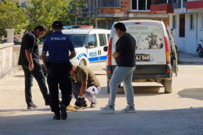Sinop’ta sokak köpeği silahla vurularak öldürüldü
