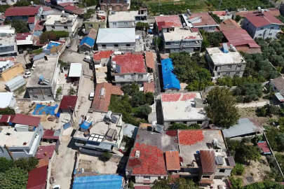 Kavurucu sıcakta devam eden acı mesaiyle birlikte damlar kırmızıya büründü
