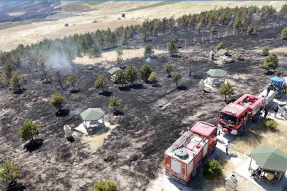 Çorum’da örtü yangını ormana sıçradı, 800 dönüm alan yandı
