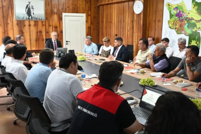 Üzüm üreticisinin talepleri Denizli’de masaya yatırıldı
