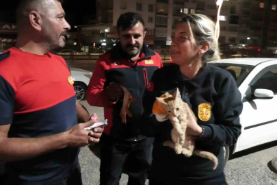 Yozgat’ta aracın motorunda mahsur kalan yavru kediyi itfaiye kurtardı
