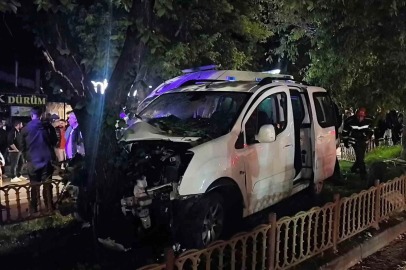 Kontrolden çıkan otomobil ağaca çarptı: 2 yaralı
