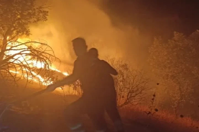 Siirt’teki yangın kontrol altına alındı

