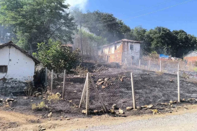 Bilecik’te orman yangınına sebebiyet veren şahıs gözaltına alındı
