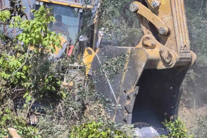 Manavgat’ta zeytinlik yangında 100 ağaç zarar gördü
