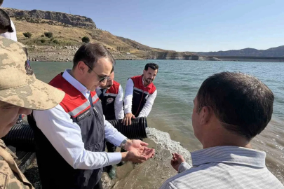 Şırnak’ta Ilısu Baraj Gölü’ne 800 bin yavru şabut balığı bırakıldı
