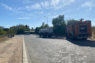 Aydın’da okul yanında başlayan yangın panikletti
