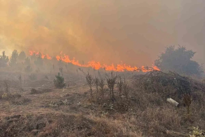 Bozüyük’te yangın kontrol altına alındı
