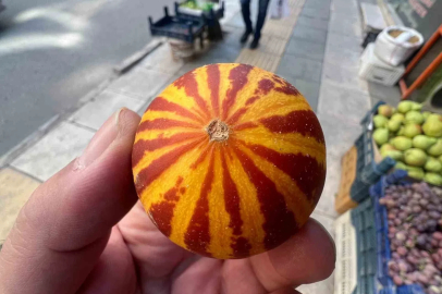 Elazığ’da kokulu süs kavunu tezgahlarda
