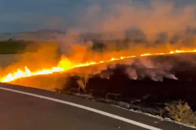 Elazığ’da arazi yangını

