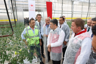 Bakan Yumaklı, Erzincan’daki jeotermal sera alanını inceledi
