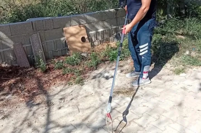 Samandağ’da yerleşim yerinde görülen yılan yakalanarak doğaya bırakıldı
