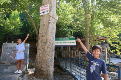 Mesire alanındaki çöp sorununa ’Çöp atan eşektir’ yazılı tabelayla tepki
