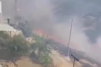 Gercüş’te yangın: Ağaçlar ve bağlar zarar gördü
