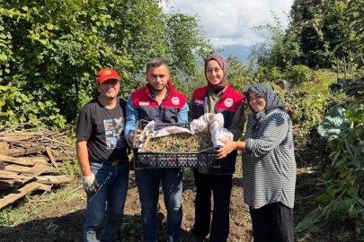 Yığılca’da salep üretimi yaygınlaşıyor
