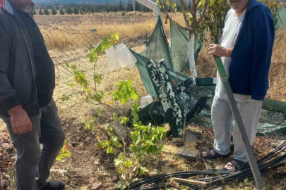 Kimliği belirsiz kişiler bahçe tellerine zarar verdi
