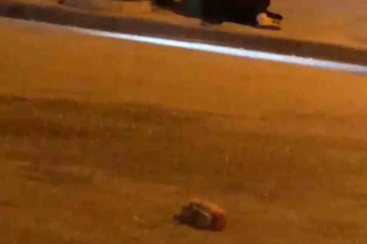 Cadde ortasında sopalı kavga: 1 yaralı
