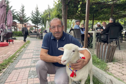Tertip, Kavaklıların gözbebeği oldu
