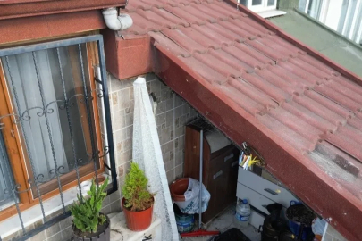 Sultangazi’de çatı katını arılar bastı: Arıların soktuğu kadın hastanelik oldu
