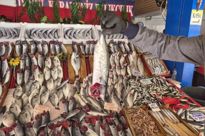 Palamut bu sezon hamsiyi geride bıraktı
