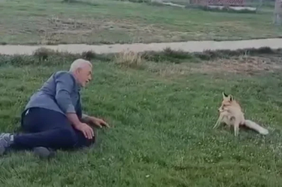 Bayburt’ta vatandaşın tilkiyle dostluğu kameraya yansıdı
