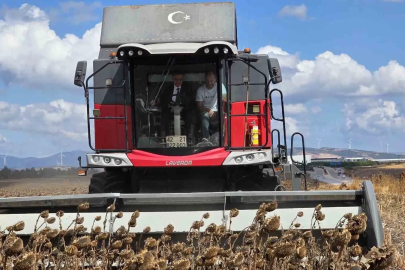 Bandırma’da kaymakam tarlaya indi, ayçiçeği hasadına katıldı

