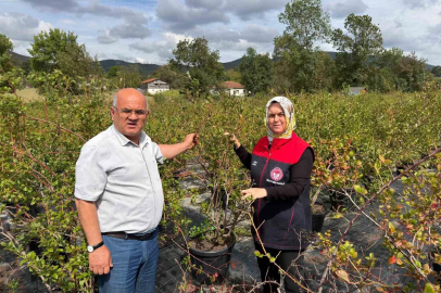 Gümüşova’da Yaban Mersini ve Aronya üretimi için yeni adım
