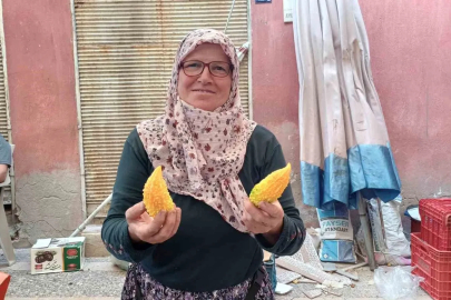 Doğal şifa kaynağı kudret narı, tezgahları süslemeye başladı
