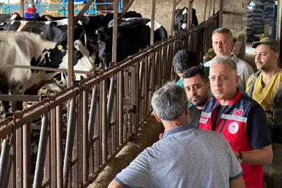 Altınözü’nde hastalıktan ari işletme sayısının artırılması için çalışma yürütülüyor

