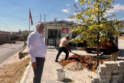 Sultanhisar’da ağaçlandırma çalışmaları sürüyor
