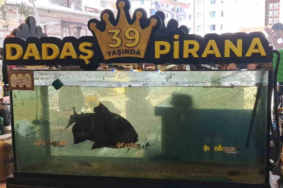 39 yaşındaki ’Dadaş Pirana’ Erzurum’da bir neslin çocukluk hatırası oldu
