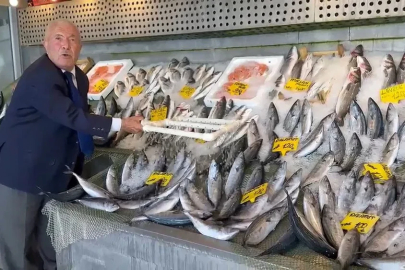 Balık sezonu bereketli başladı: Hamsi 200, palamut 100 liradan başlıyor
