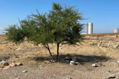 Adana’da genç şahıs boş arazide ölü bulundu
