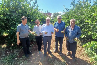 Yüreğir’de dolu afeti: Yaklaşık 35 bin dönüm tarım alanı zarar gördü
