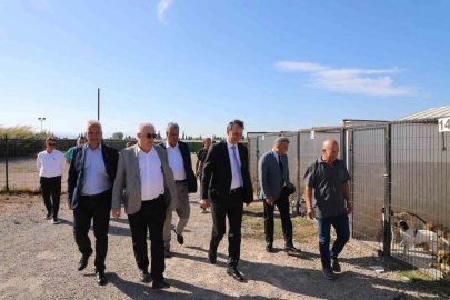 Kaymakam Zafer Engin, Sokak Hayvanları Bakım ve Rehabilitasyon Merkezi’ni ziyaret etti
