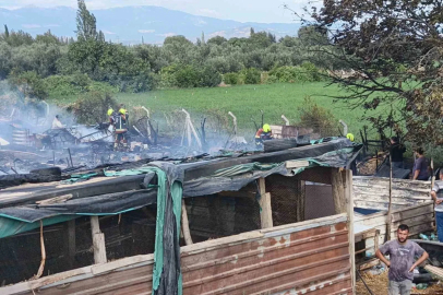 Burhaniye’de ahır yangını paniğe neden oldu
