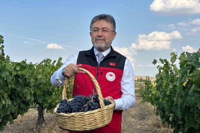 Bakan Yumaklı: "3 milyon 850 bin tonluk bir üzüm üretimi ülkemizde gerçekleşmiş olacak"
