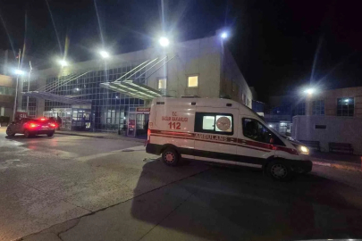 Sulama kanalına uçan otomobildeki 2 kişi hayatını kaybetti
