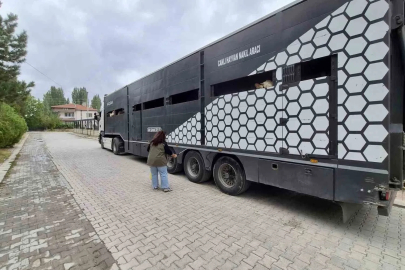 Afyonkarahisar’da hayvan sevklerine yönelik kontroller sürüyor
