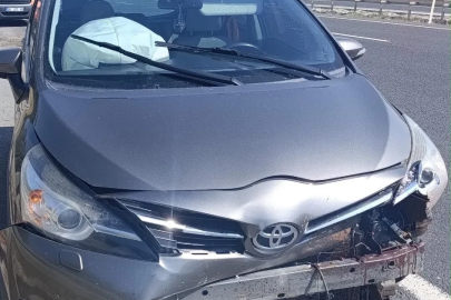 Yola aniden çıkan koyun kazaya sebep oldu, 1 yaralı
